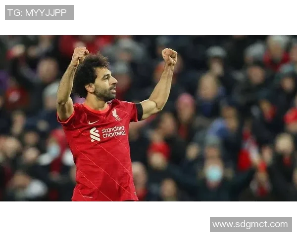 足球明星的传奇之路从草根到巅峰的奋斗与荣耀之旅