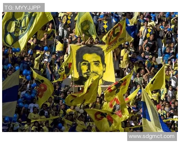 昔日足球明星沦为毒贩背后的故事与真相揭秘视频合集