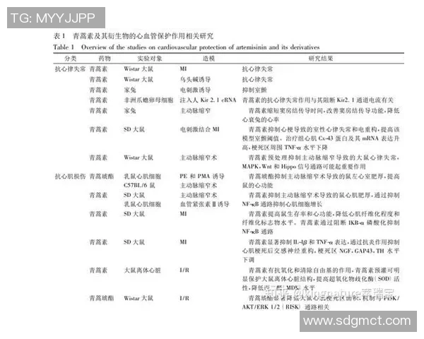 中国足球在香港的比赛历程与发展探讨及其对两地体育交流的影响